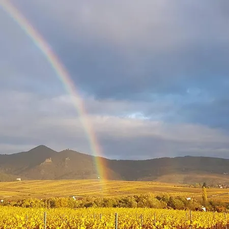 Soon - Maison De Roots Hébergement de vacances *