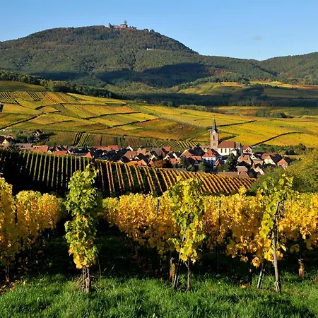 Soon - Maison De Roots