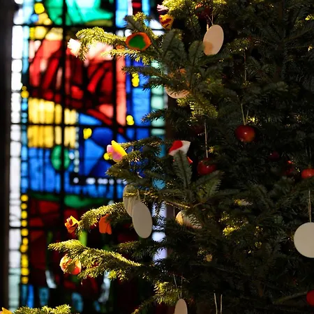 Soon - Maison De Roots Hébergement de vacances *